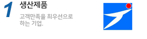 생산제품